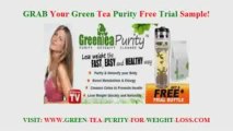 Natural Green Tea Purity Free Trial Samples for Weight Loss