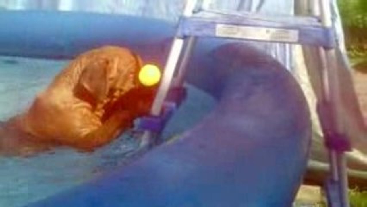 fanta dans la piscine