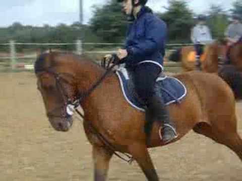 Changements de pieds avec Jolie !