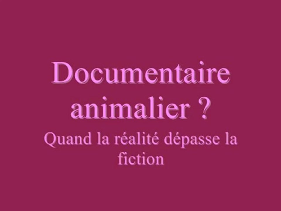 Documentaire animalier ?