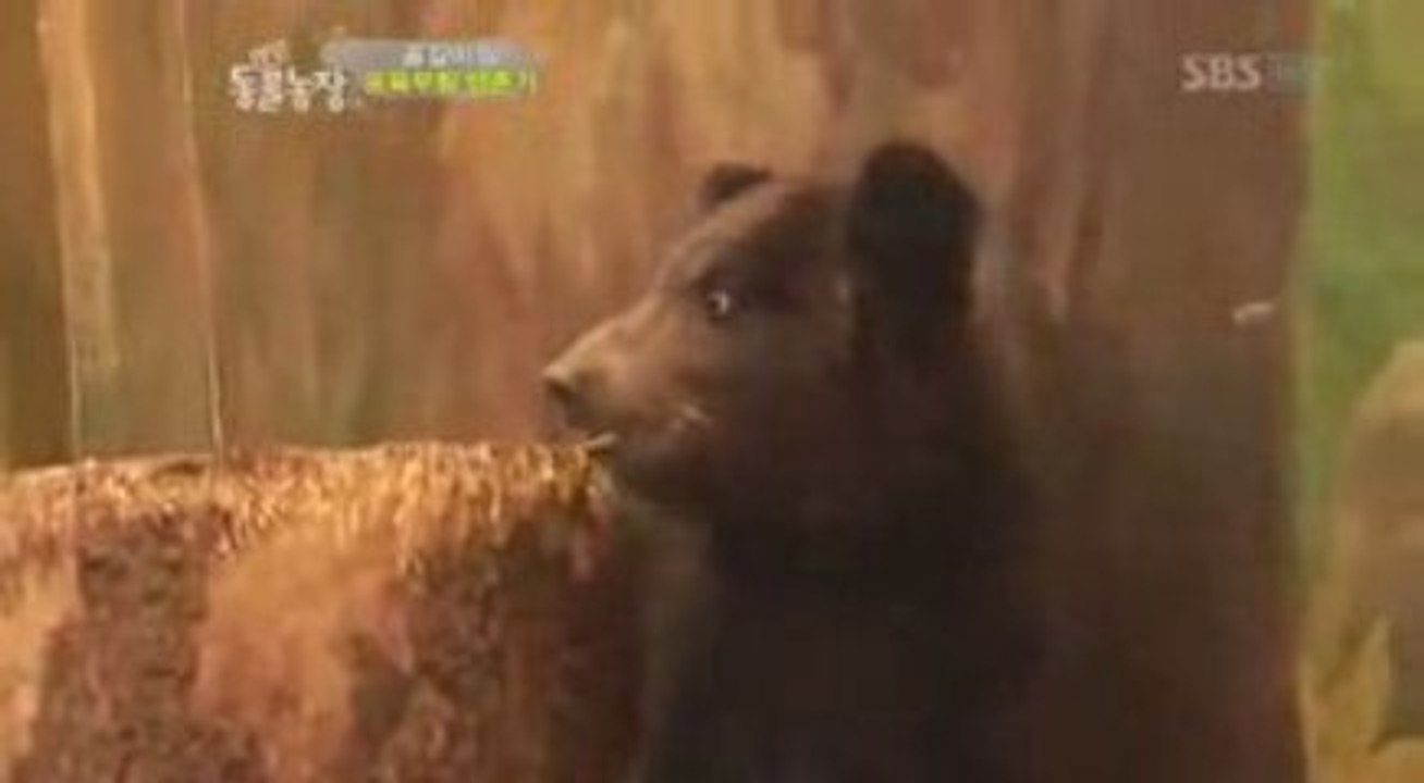 L'ourson le plus peureux du monde