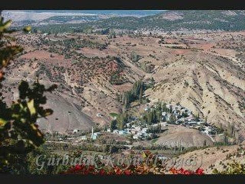 Her Karesi Ayrı Bir Güzel Alucra