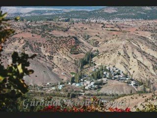 Her Karesi Ayrı Bir Güzel Alucra