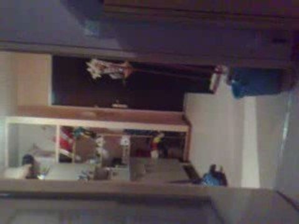 Haner