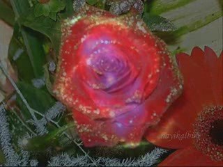 F.Gülen Mirac şiiri Murat Kara