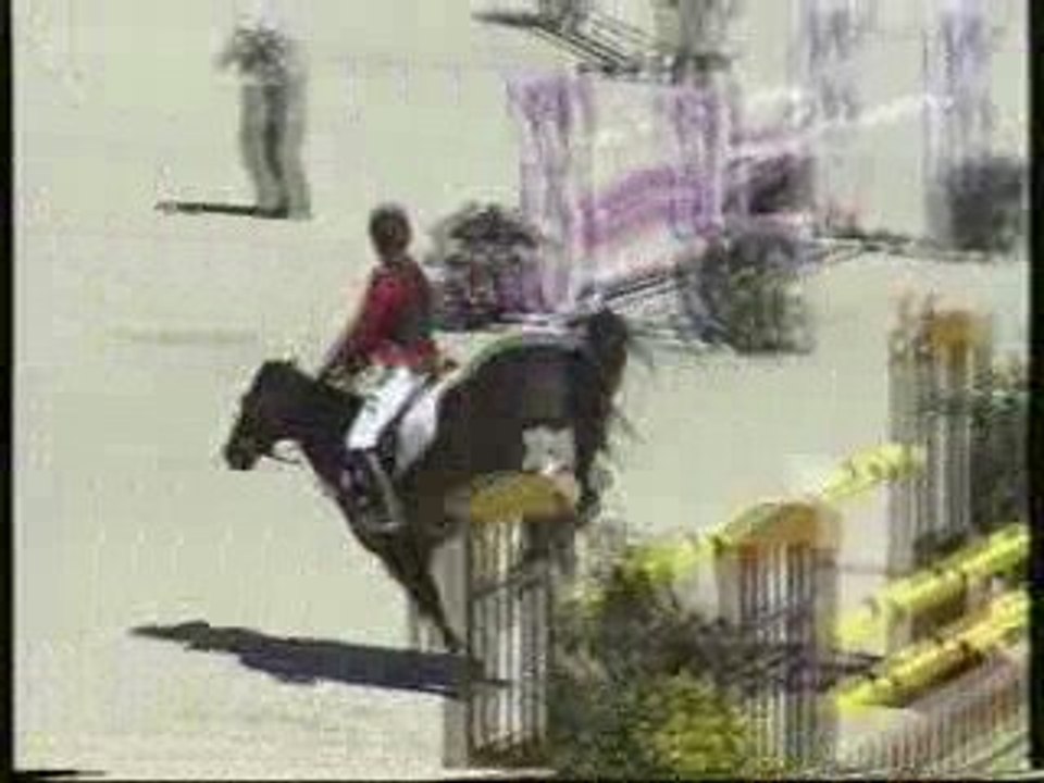 Clogherboy Mirah European Pony Championships 2008 Avenches