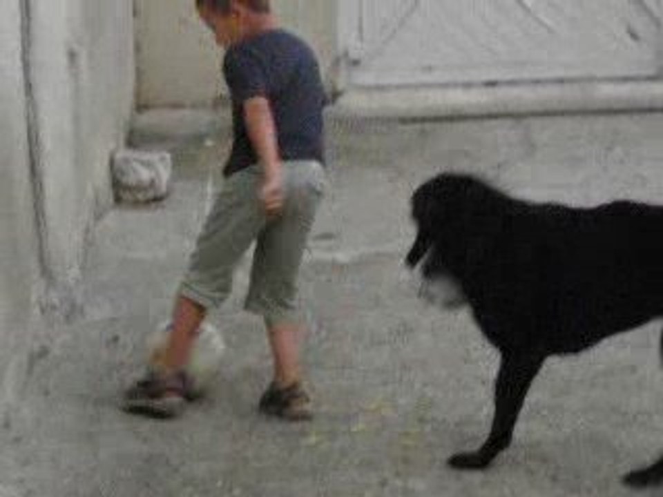 foot