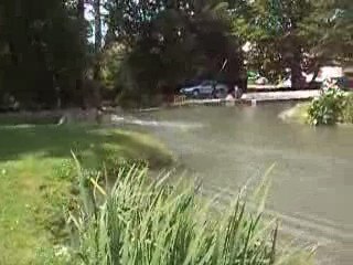 micro cool running