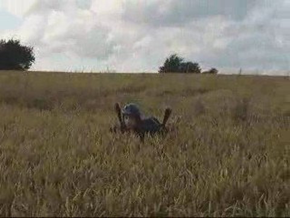 18 Juli Flensburgerförde DK