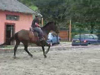 amé et quintus part.2