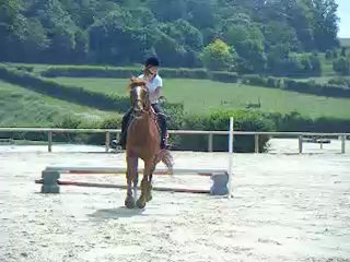 Moi et calmar sur un oxer