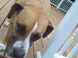 Stripping in east setauket, Power Washing Dragon and Pntg.