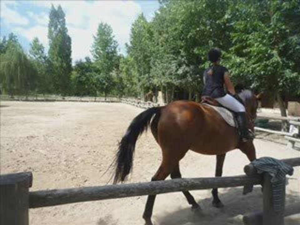 Stage juillet 2009 (1)