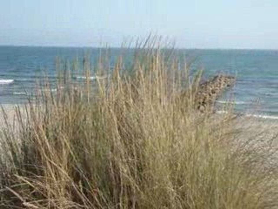 Plage de l'Espiguette - Le Grau du Roi