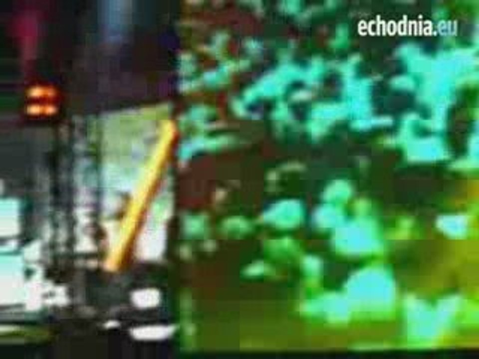 Dance sensation w Bałtowie