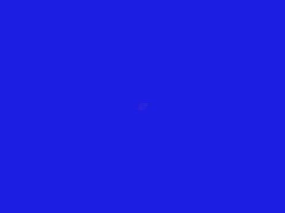 Tout sur léo