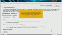 cPanel Tutorials - How to create a default catch-all email