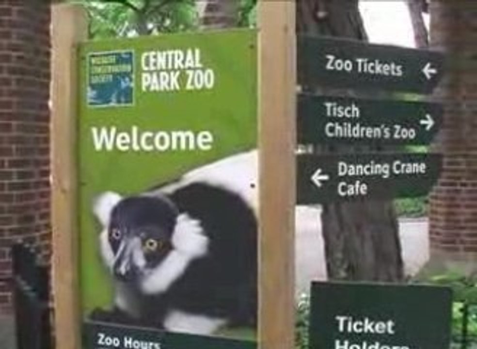 Video tour di Central Park - Parte 1