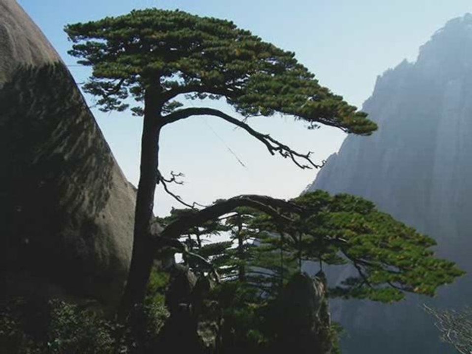China. huang shan.