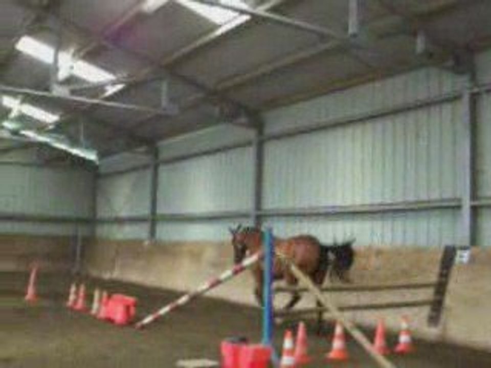 Roxane saut en liberté