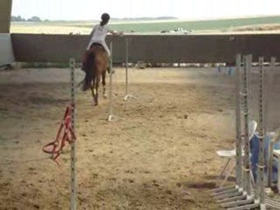 Parcours de Trec' avec Kyriie.