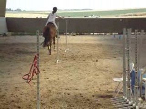 Parcours de Trec' avec Kyriie.