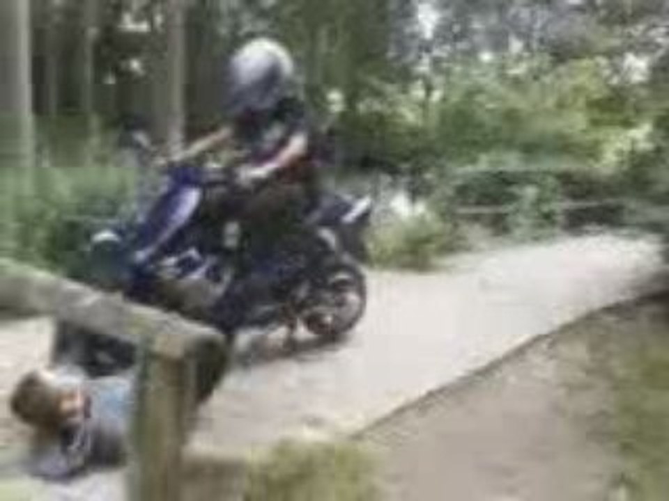 Zinik Jackass