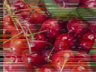 Yo soy tu fruta preferida