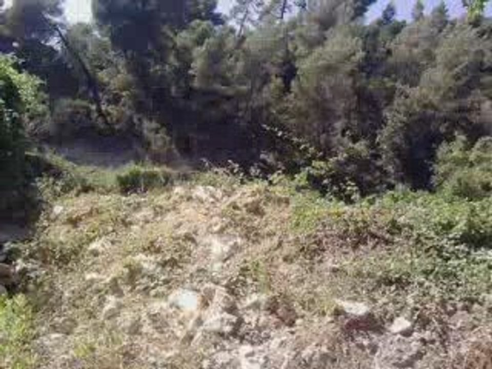 V190709_16.46