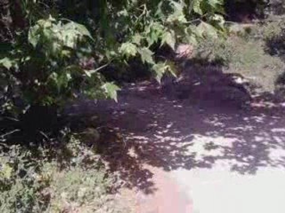 V190709_16.48