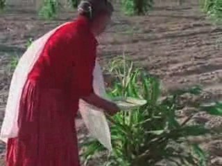 Edom trying to Stomp Gad out PT2