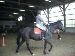 Gibus et moi