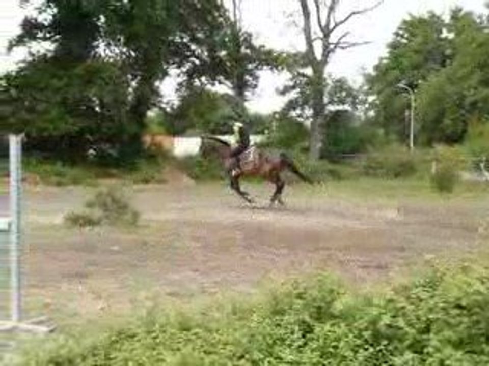 rosée, petits exercices sauts 1