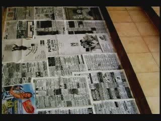 Educacion Para Perros