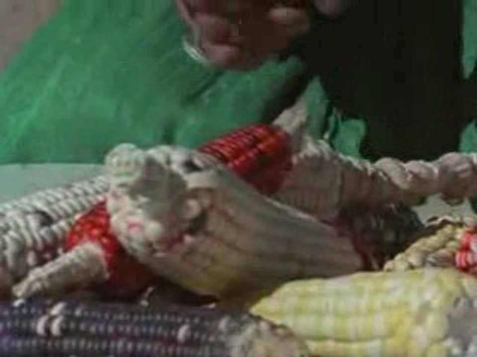 Edom trying to Stomp Gad out PT7