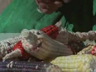 Edom trying to Stomp Gad out PT7