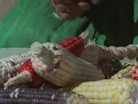 Edom trying to Stomp Gad out PT7