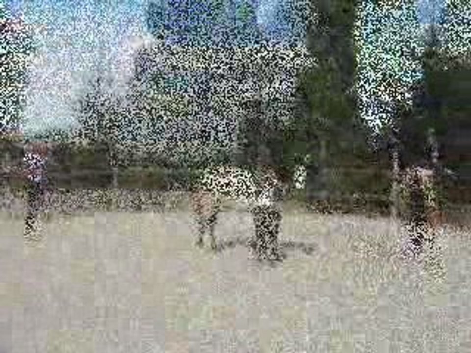 Séance liberté et cordelette 19 juillet 2009