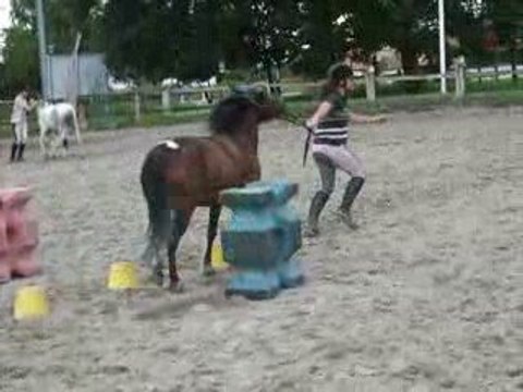 Jeux à Poneys