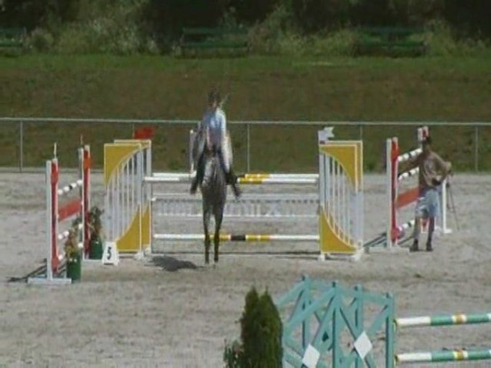 Calme P Standardspringen Klasse M*