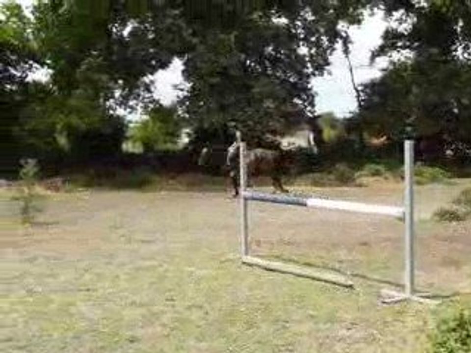 Rosée, petits exercices sauts 2