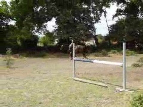 Rosée, petits exercices sauts 2