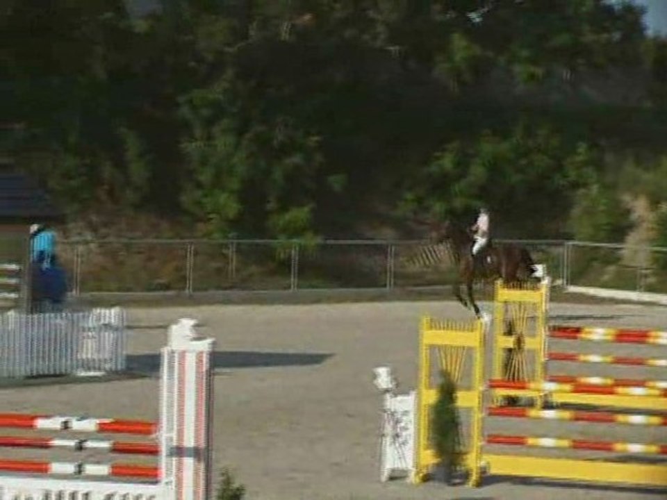 Lord Cash P Standardspringen Klasse L