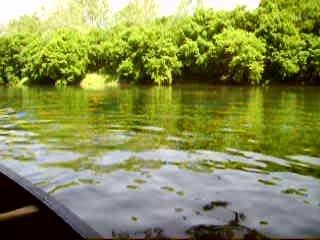 L'eclate totale ! Tarzan is back....