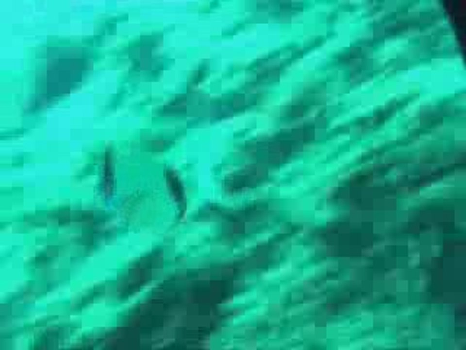 Exercices au cap Caveau - Marseille