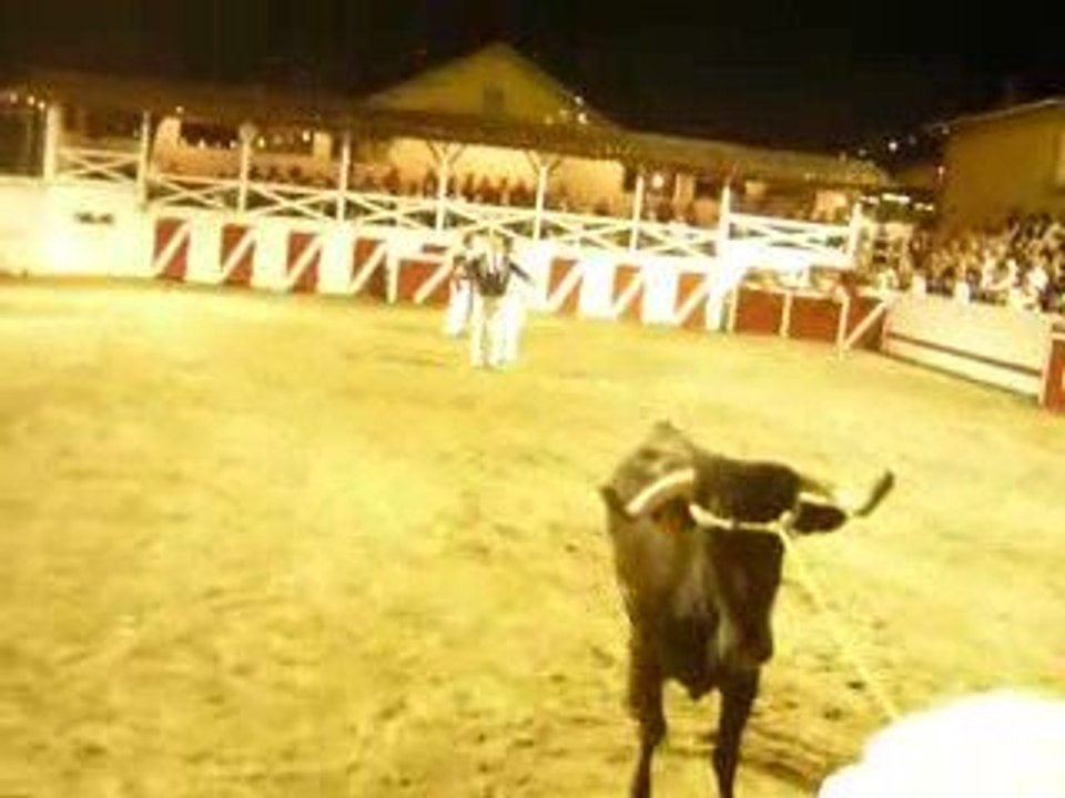 Course landaise Estibeaux (Landes)Lilian GARANX, HABAS