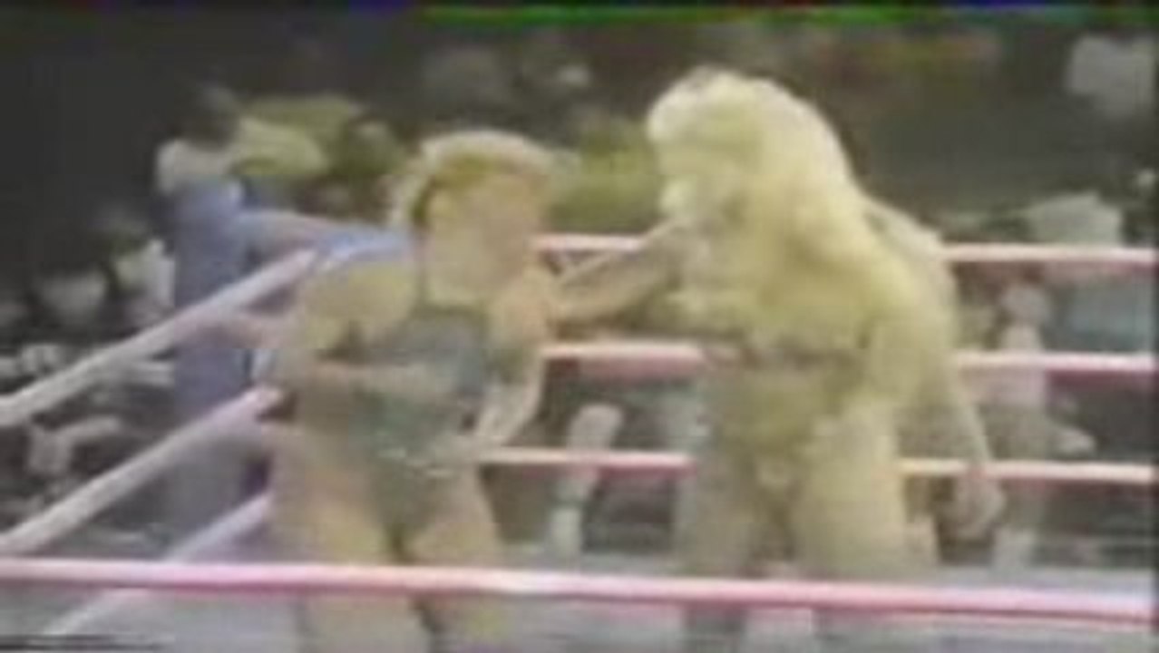 Roxy Astor vs Godiva (GLOW Wrestling)