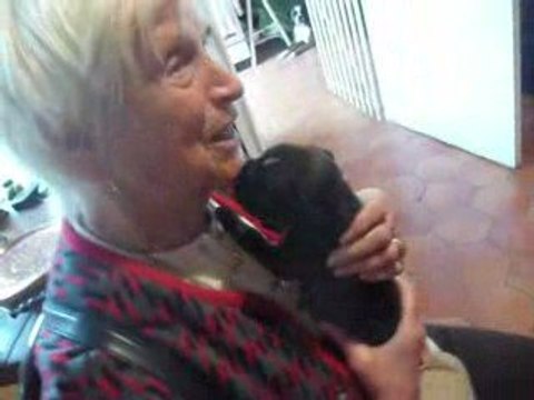 Eole, Ewane & Espionne - boxers, 3 semaines - n°1