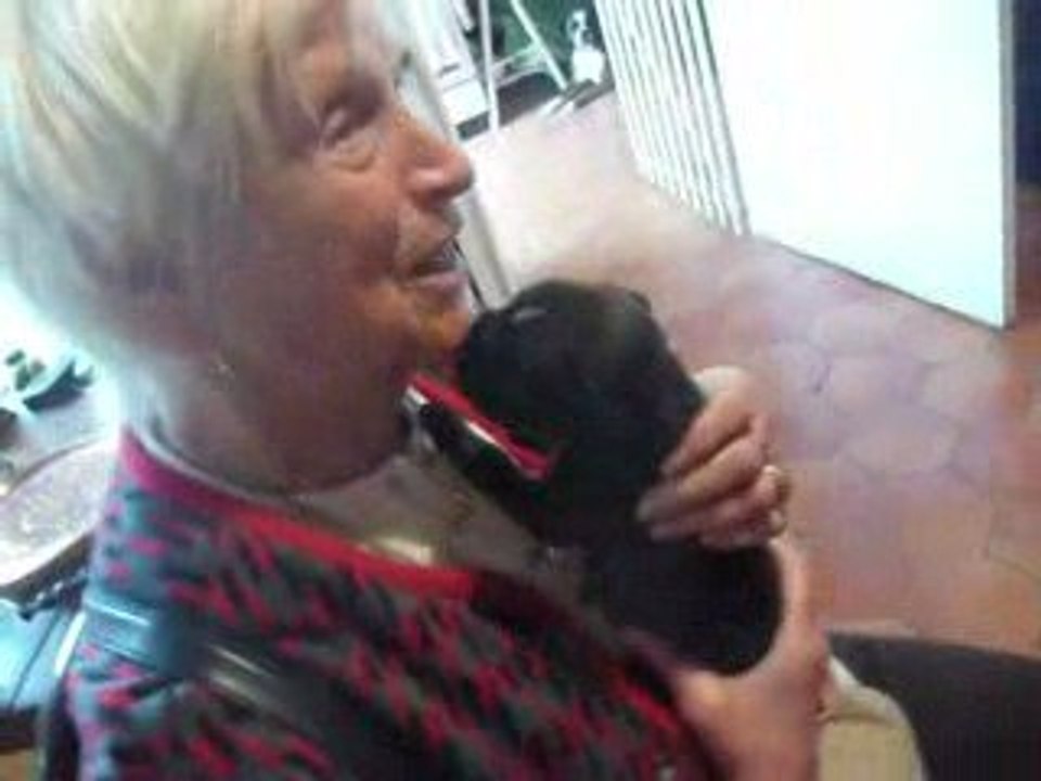 Eole, Ewane & Espionne - boxers, 3 semaines - n°1