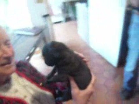 Eole, Ewane & Espionne - boxers, 3 semaines - n°2